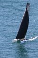 Wed7D_IMG_8706.CR2