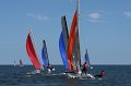 IMG_8903.CR2