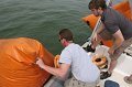 IMG_0461.CR2